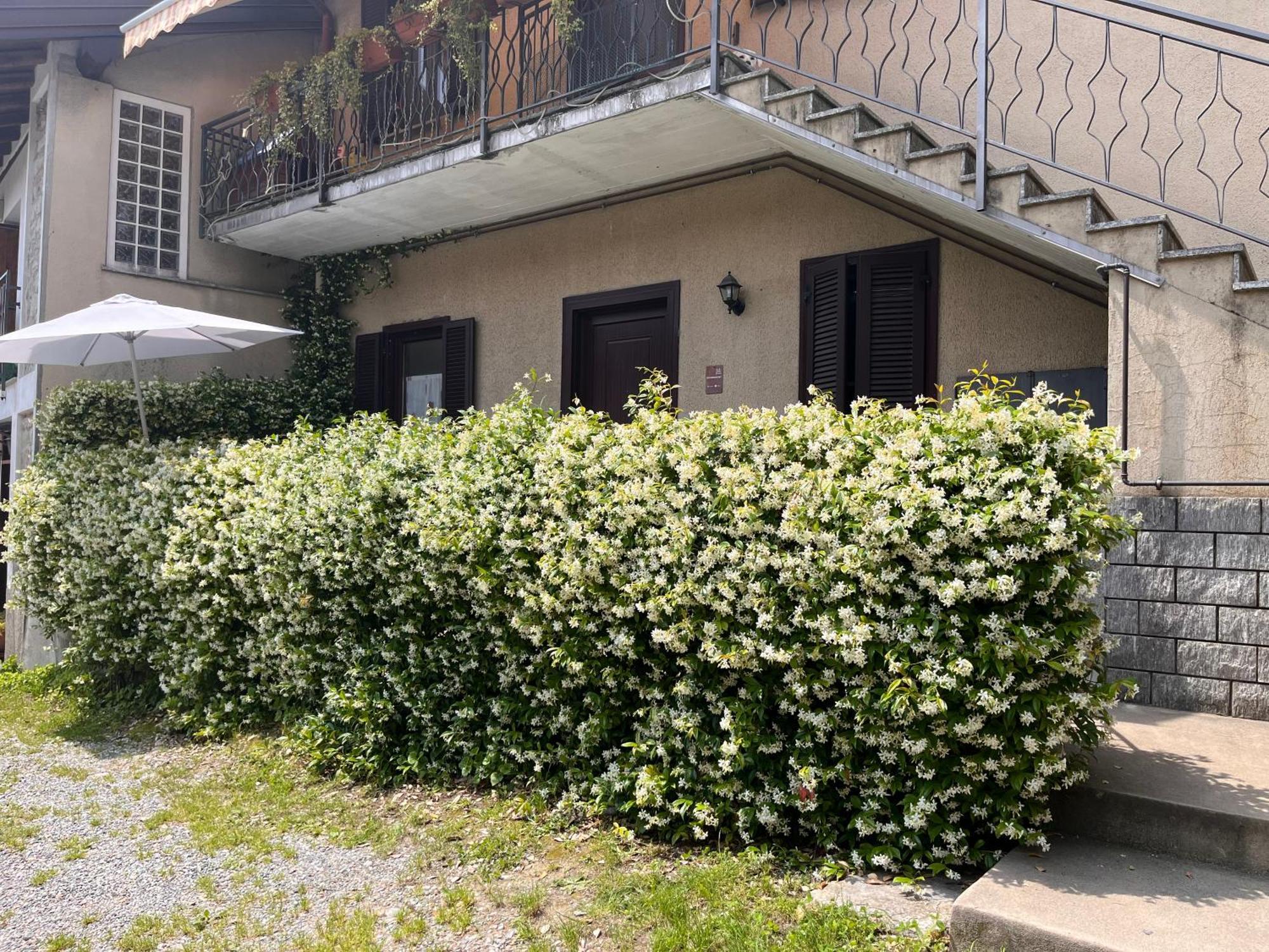 Il Cortile Como Single & Double Room In Apartment No Hotel Exterior foto